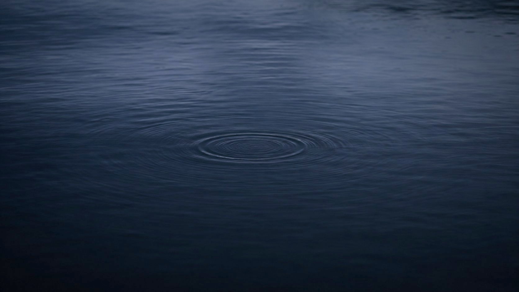 夜の湖面に、小さな波紋がひとつ広がっている